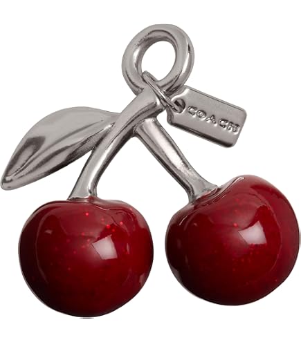 Amazon.com: COACH Women's Vintage Charms Cherry Stud Earrings
